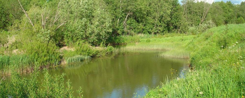 
            Фотография Власуново