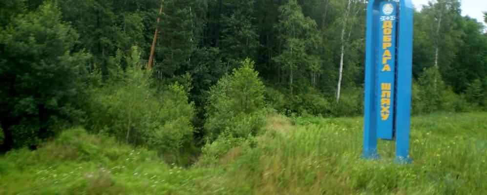 
            Фотография Зарички