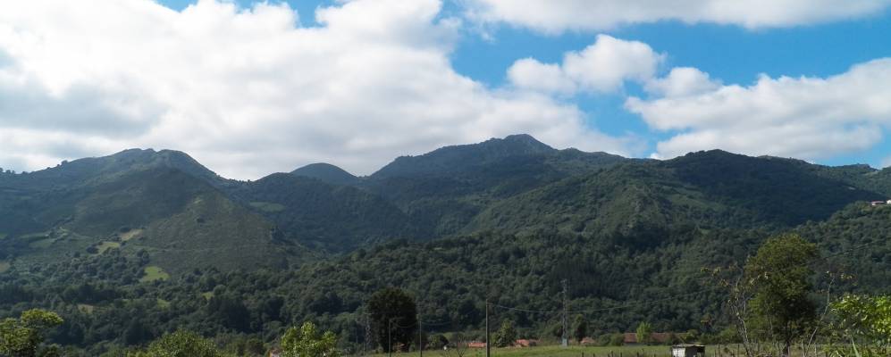 
            Фотография Нава 