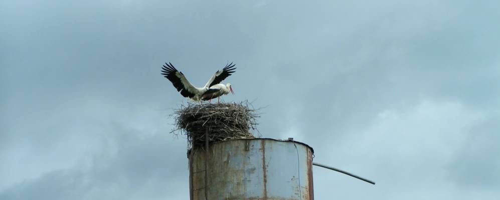 
            Фотография Трофимово