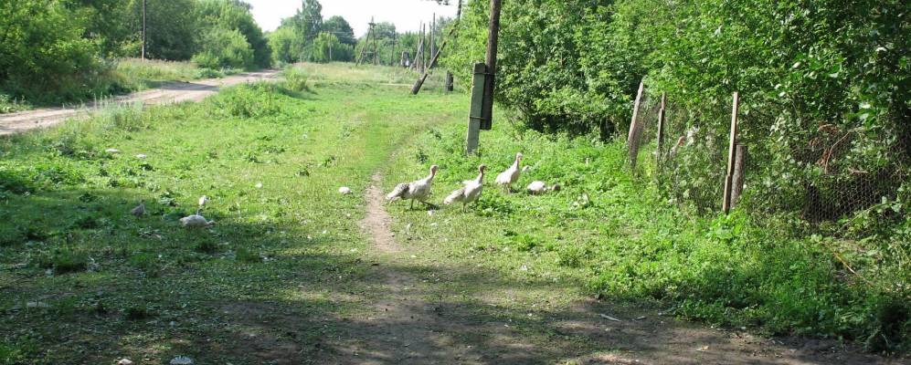 
            Фотография Новинки