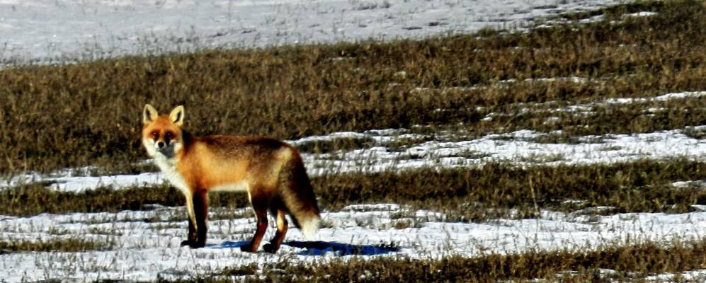 Фотография Турени