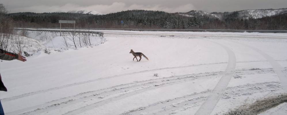 
            Фотография Арсентьевки