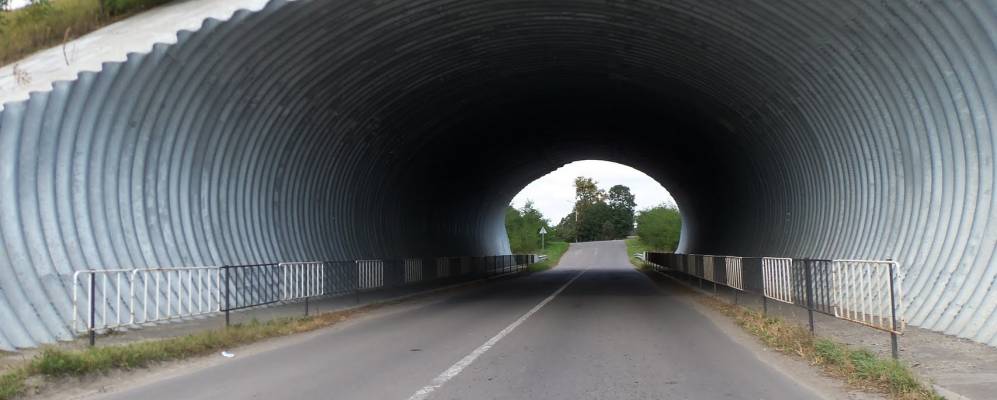 
            Фотография Павлики