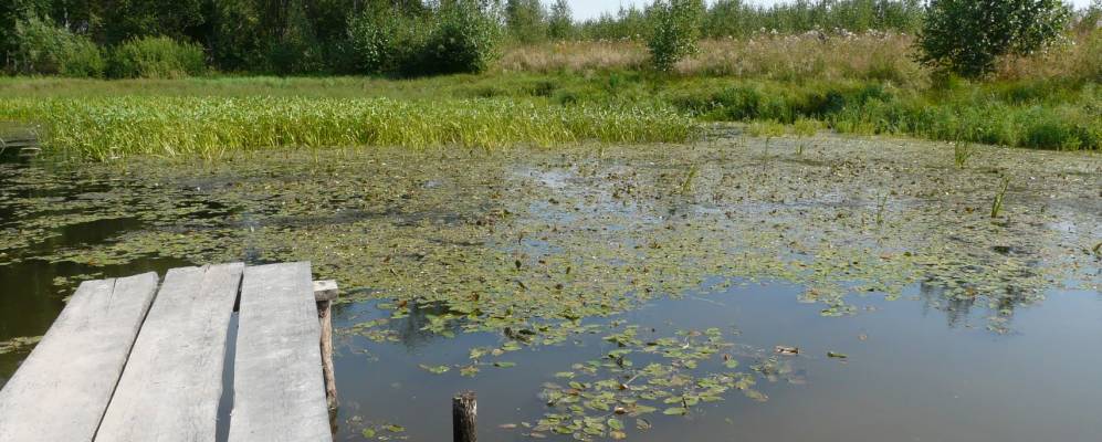 
            Фотография деревни Воиновы Горки