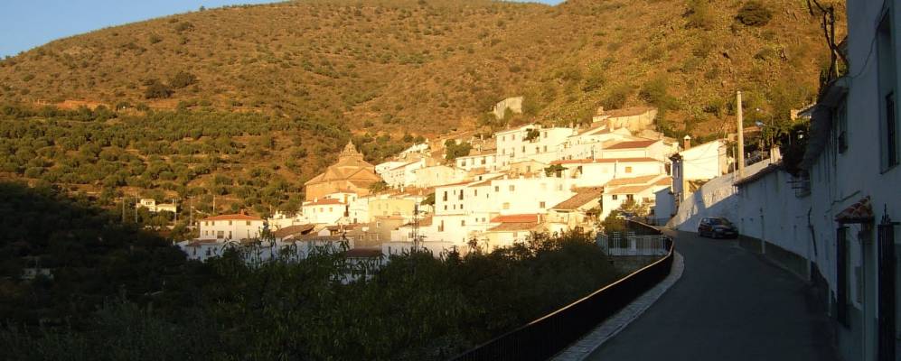 
            Фотография Лароя