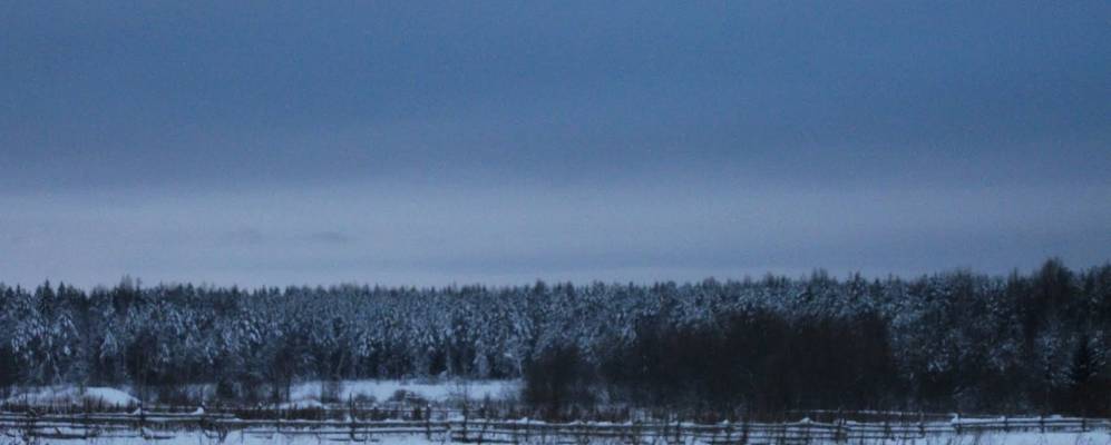 
            Фотография Скоково