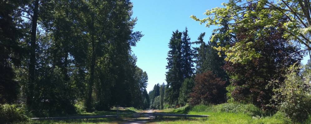 
            Фотография Коттидж Лейка