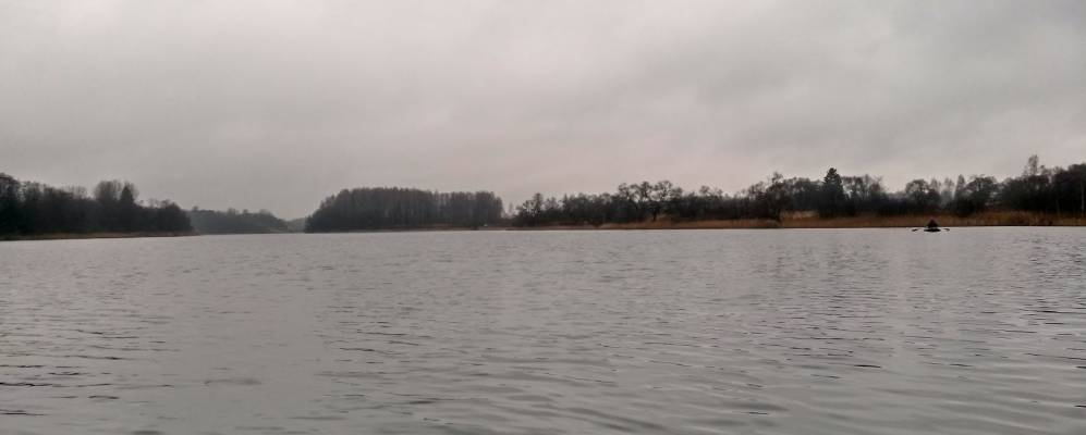 
            Фотография Гатчино