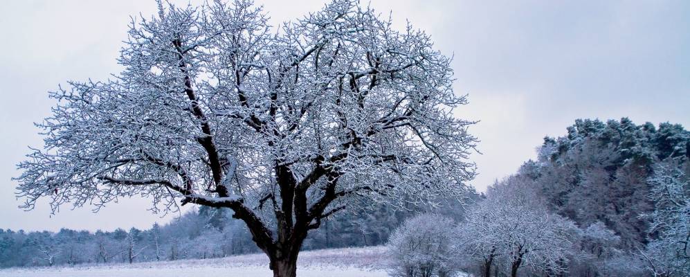 
            Фотография Кляйнсендельбаха