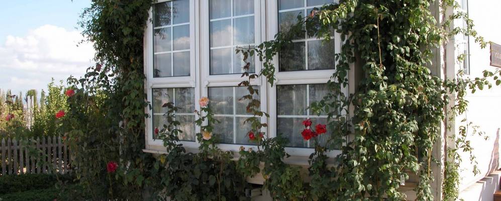 Фотография Молины