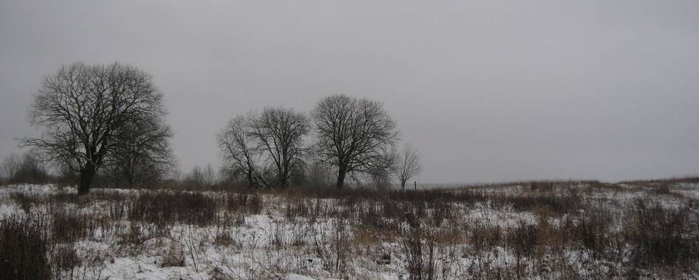 
            Фотография деревни Большие Озертицы