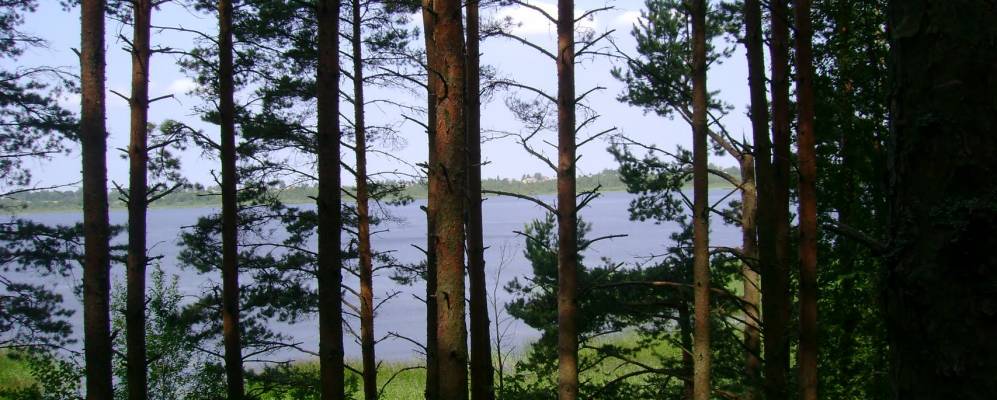 Фотография Бабинкино