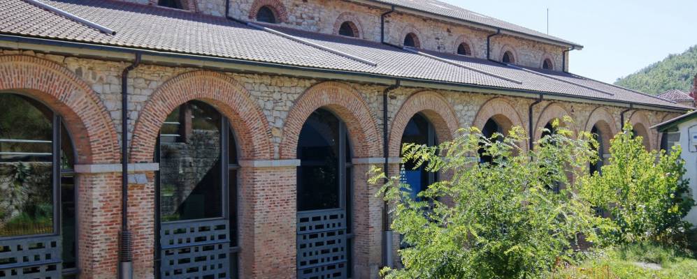 
            Фотография Саберо