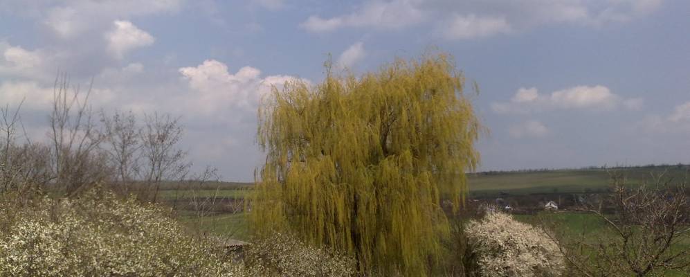 
            Фотография Желепово