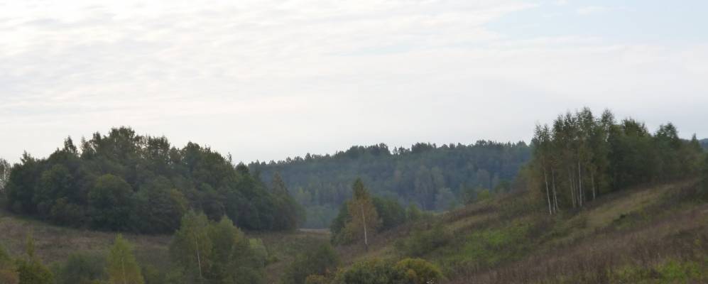 Фотография Дохино