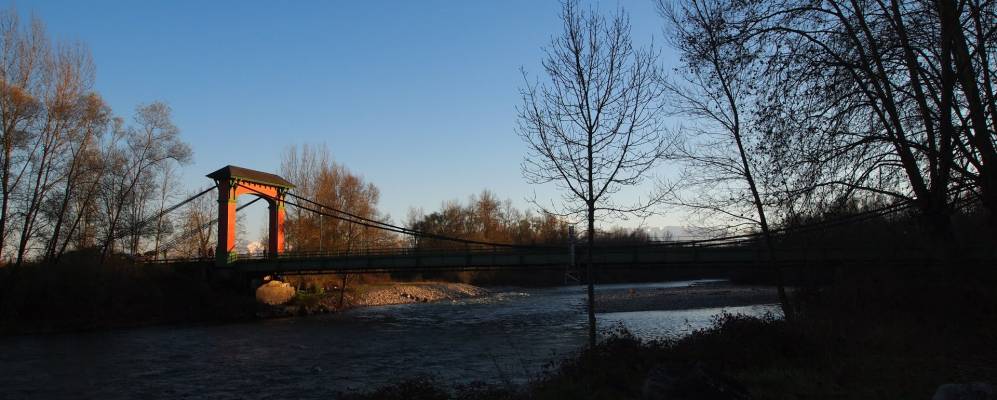 
            Фотография Асса