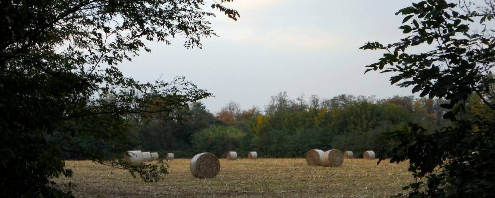 
            Фотография Лиссоне