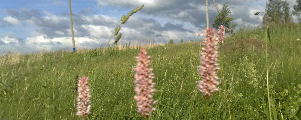 
            Фотография Жданово