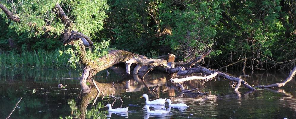 
            Фотография Ушомира
