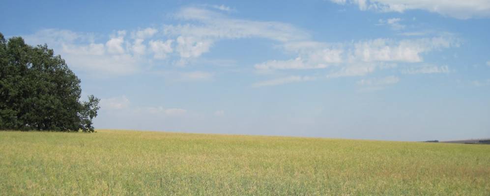 
            Фотография Петровки Первой 