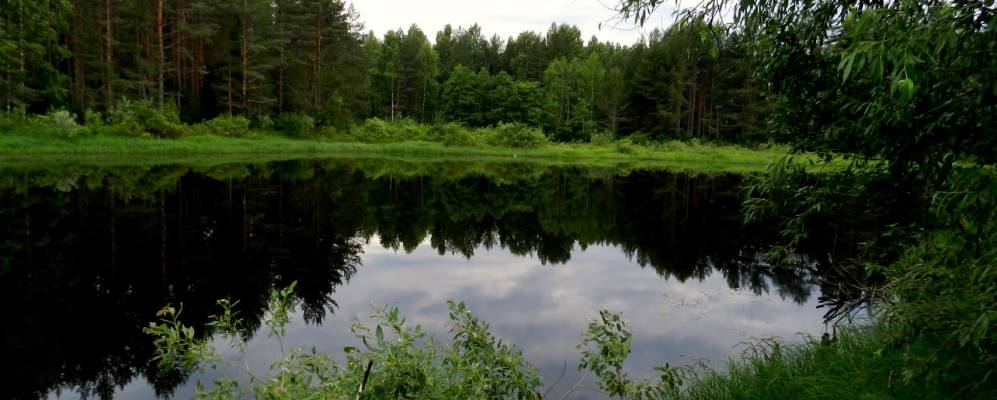 
            Фотография Петряево