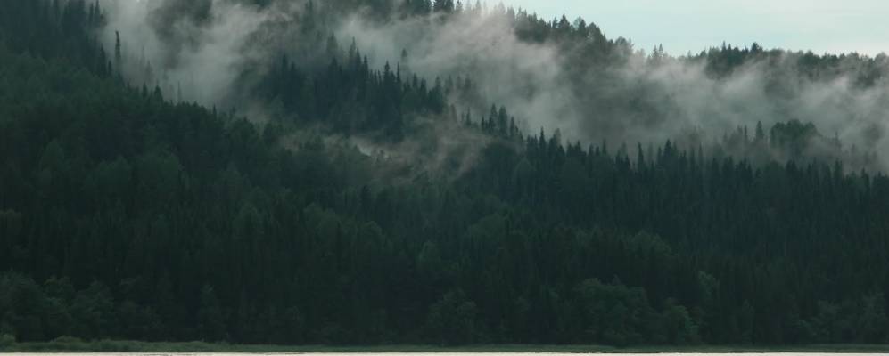 
            Фотография Шаркана