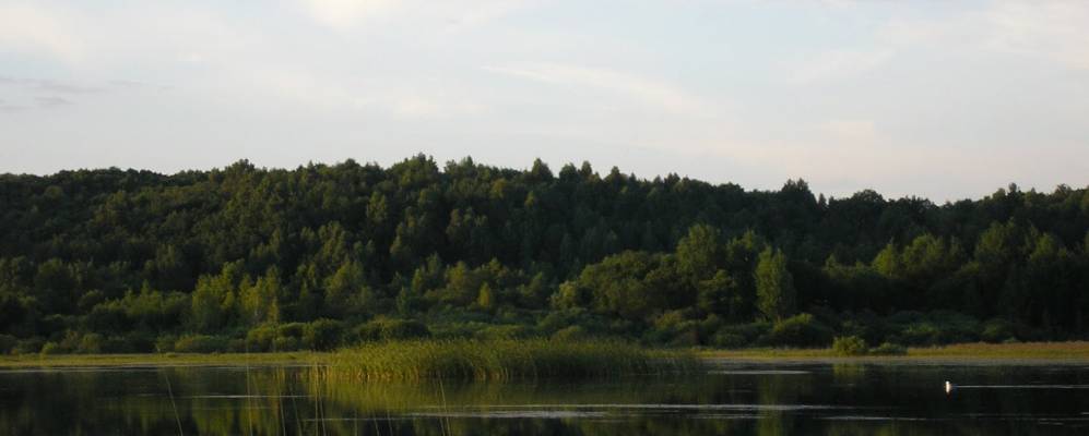 
            Фотография Мурзинки