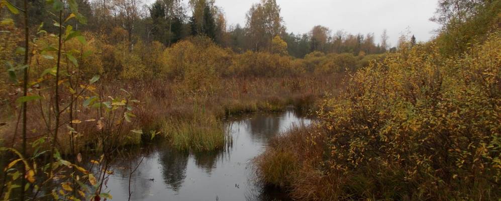 
            Фотография Моклочно