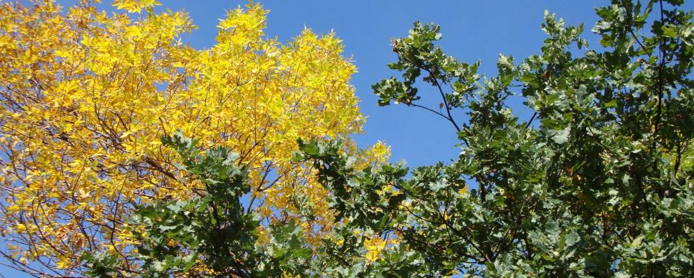 Фотография Кальченки