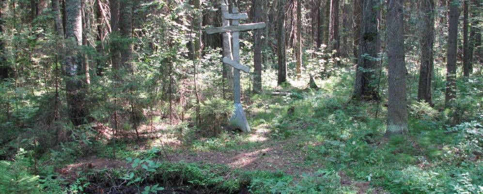 
            Фотография Родино