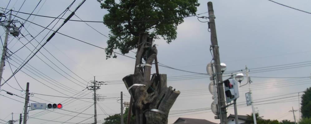 
            Фотография Накано