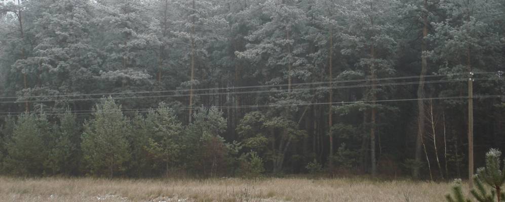 Фотография Кобёлки