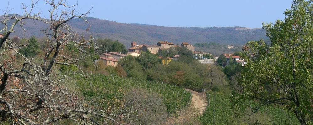 
            Фотография Пьетравивы