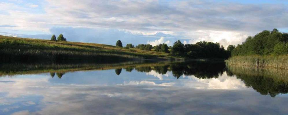 Фотография Новой Селибы