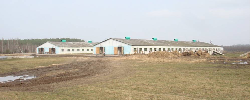 
            Фотография Большого Запоточья