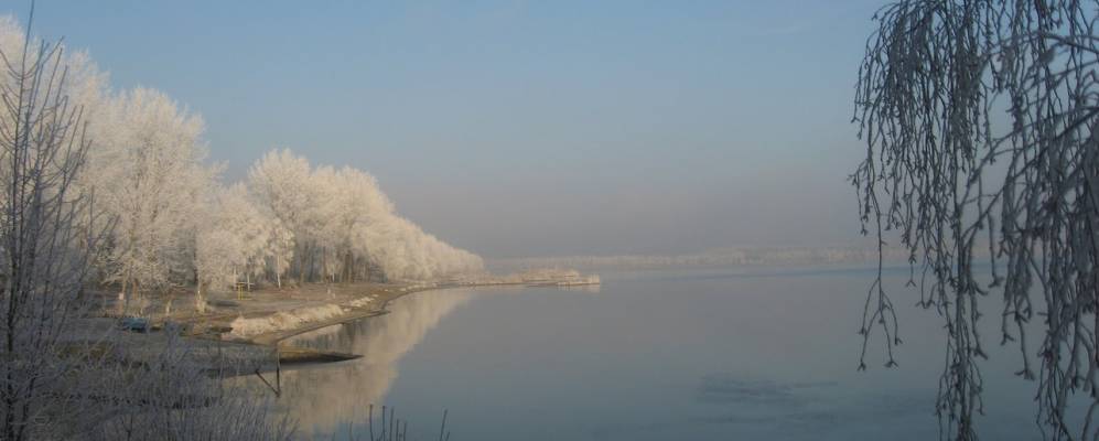 
            Фотография Поуха