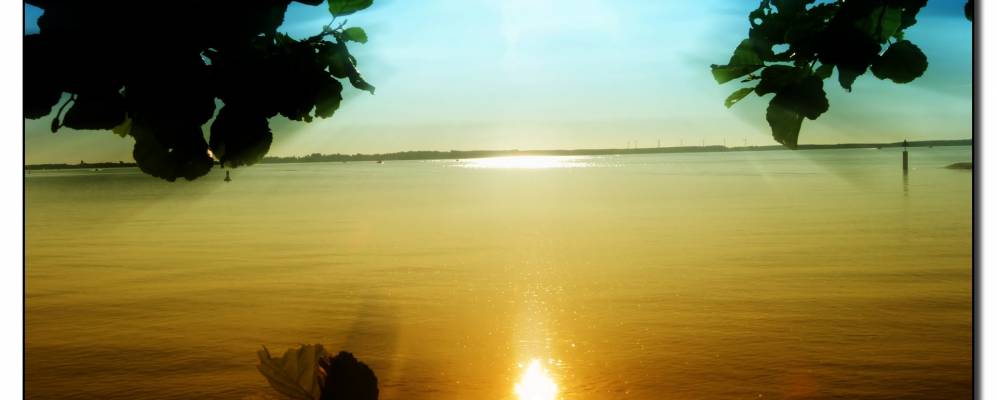 
            Фотография Ленц