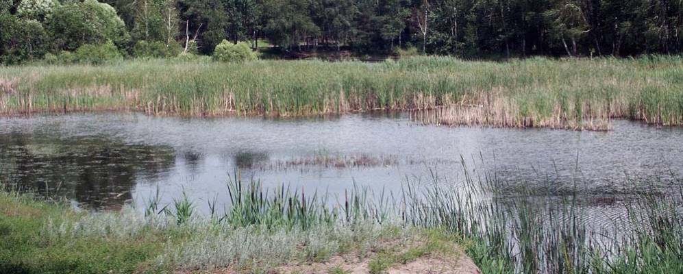 
            Фотография Военсовхоза