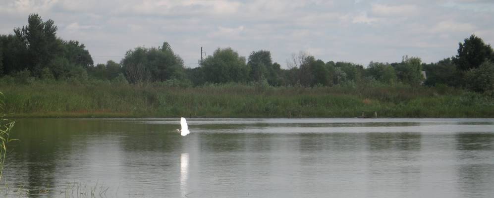 
            Фотография Павленки