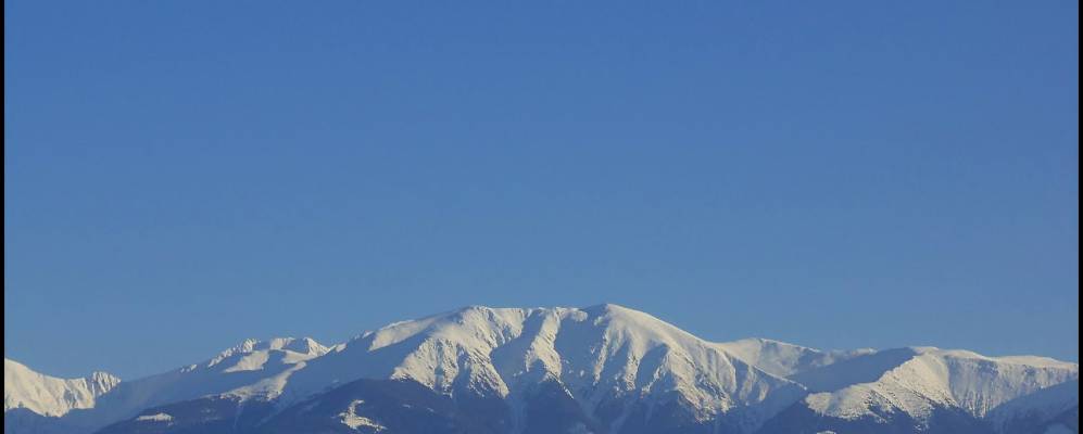 
            Фотография Брады