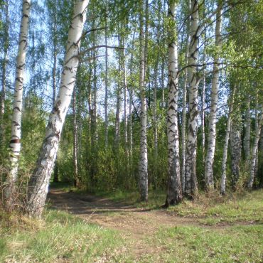 Новые Забалки