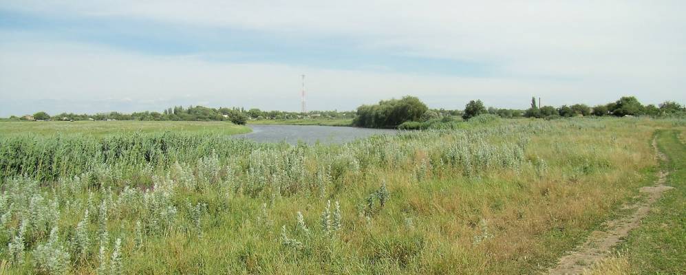 
            Фотография Черниговского