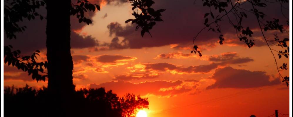 Фотография Росуэро