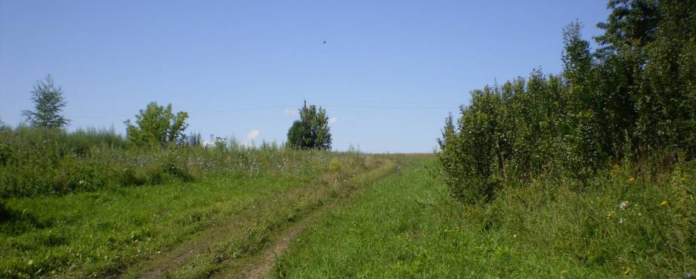 
            Фотография Седелков