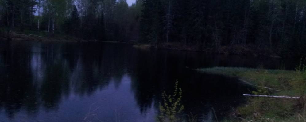 
            Фотография Смердово