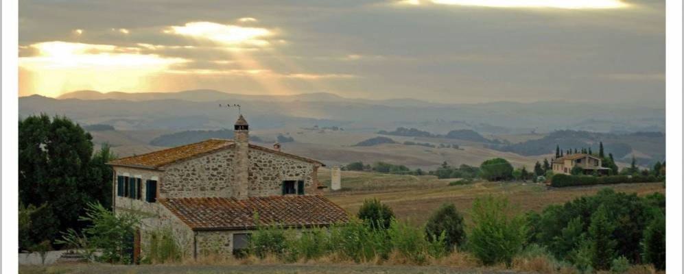 
            Фотография Мурло