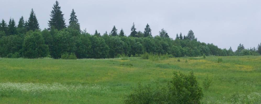 
            Фотография Горушки