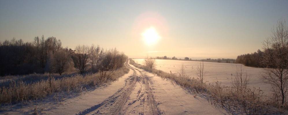 
            Фотография Бунино