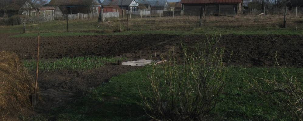 
            Фотография Чешламы